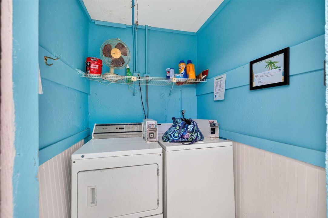 19-web-or-mls-699A6126