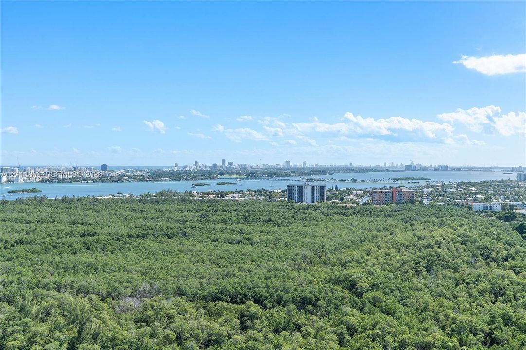 Elevated perspective featuring expansive canopy of mature vegetation, coastal waterway, and distant metropolitan skyline