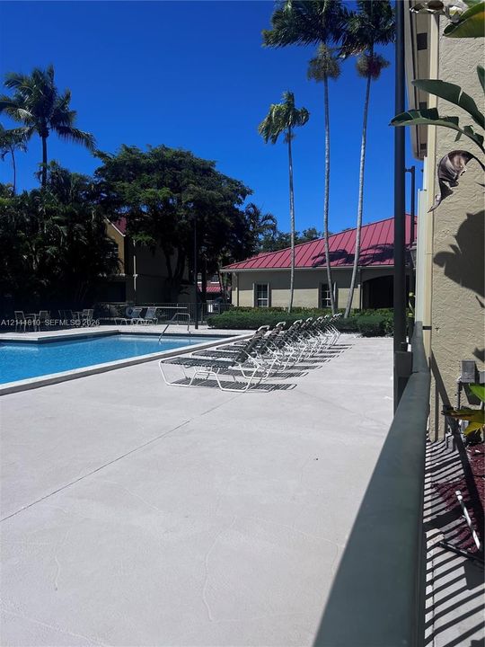 Swimming pool with concrete decking, metal perimeter fencing, and mature palm trees