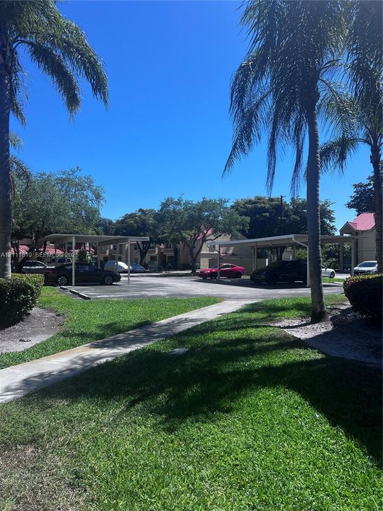 Parking area with covered carports, paved surfaces, concrete walkways, and mature palm trees