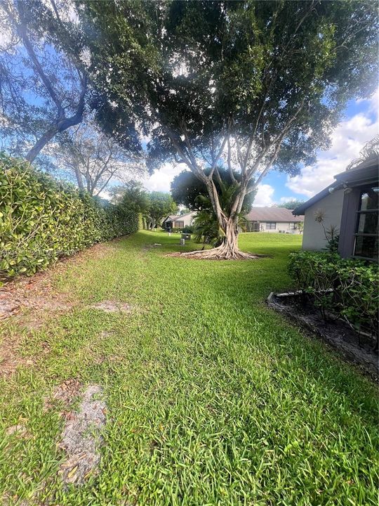 Grassy side yard featuring a mature shade tree, a privacy hedge, and building exterior with dark-trim windows