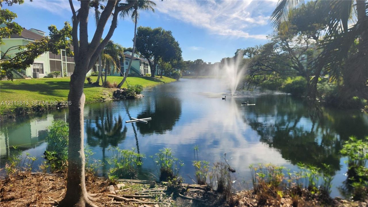 Waterfront landscape featuring a pond with a central fountain, manicured lawn, and mature palm trees