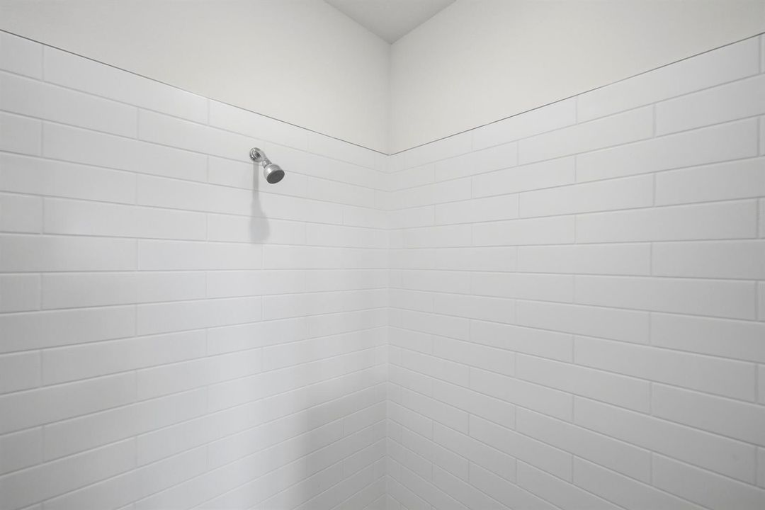 Primary Shower