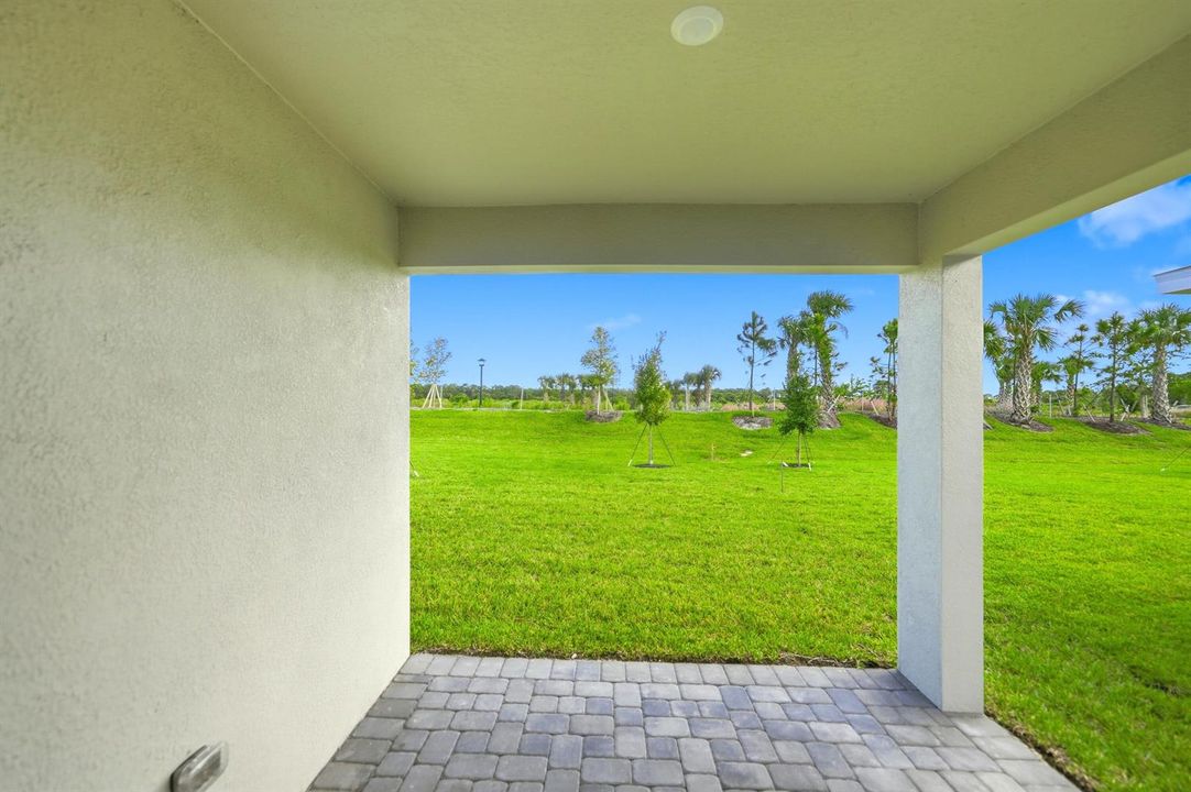 Back Patio
