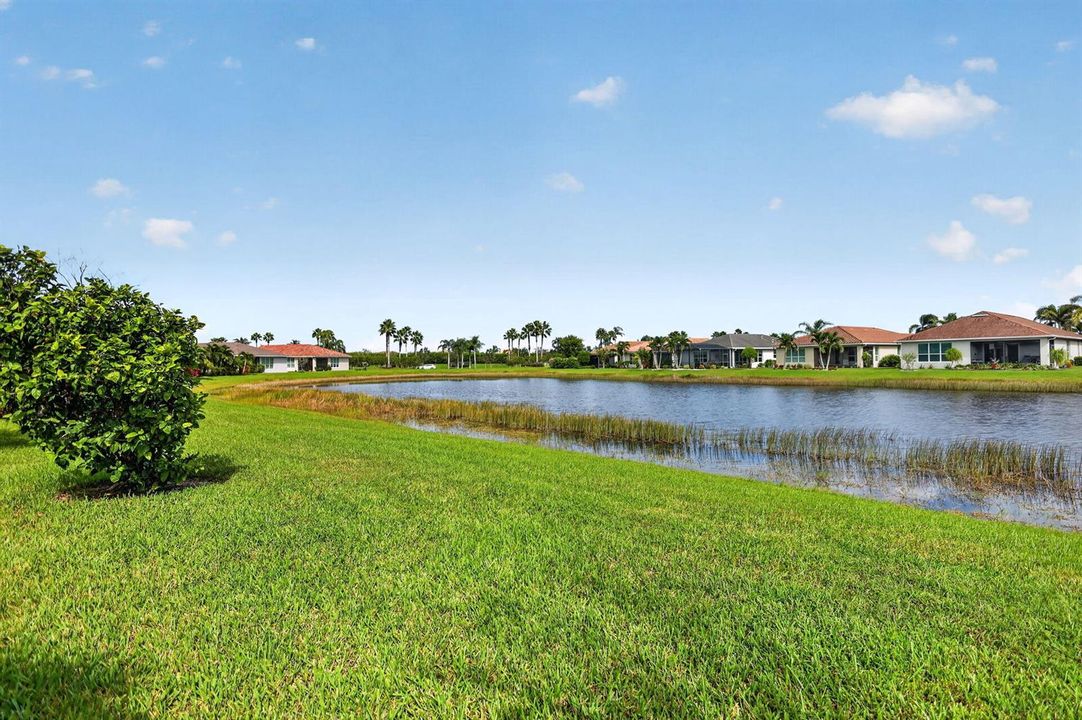 46-web-or-mls-5P1A2413