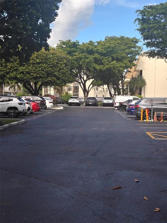 Asphalt-paved parking lot featuring designated parking stalls, mature trees, and perimeter landscaping
