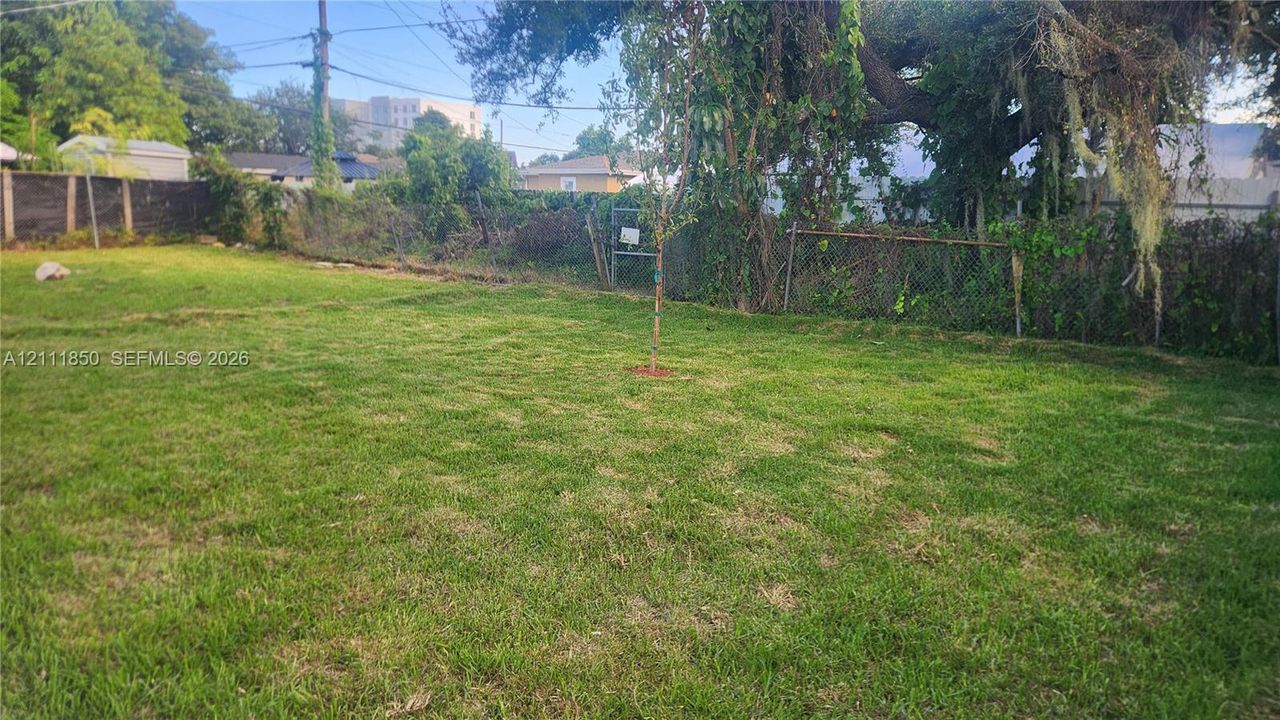 Expansive backyard featuring a large grass area, perimeter chain-link fencing, and mature trees