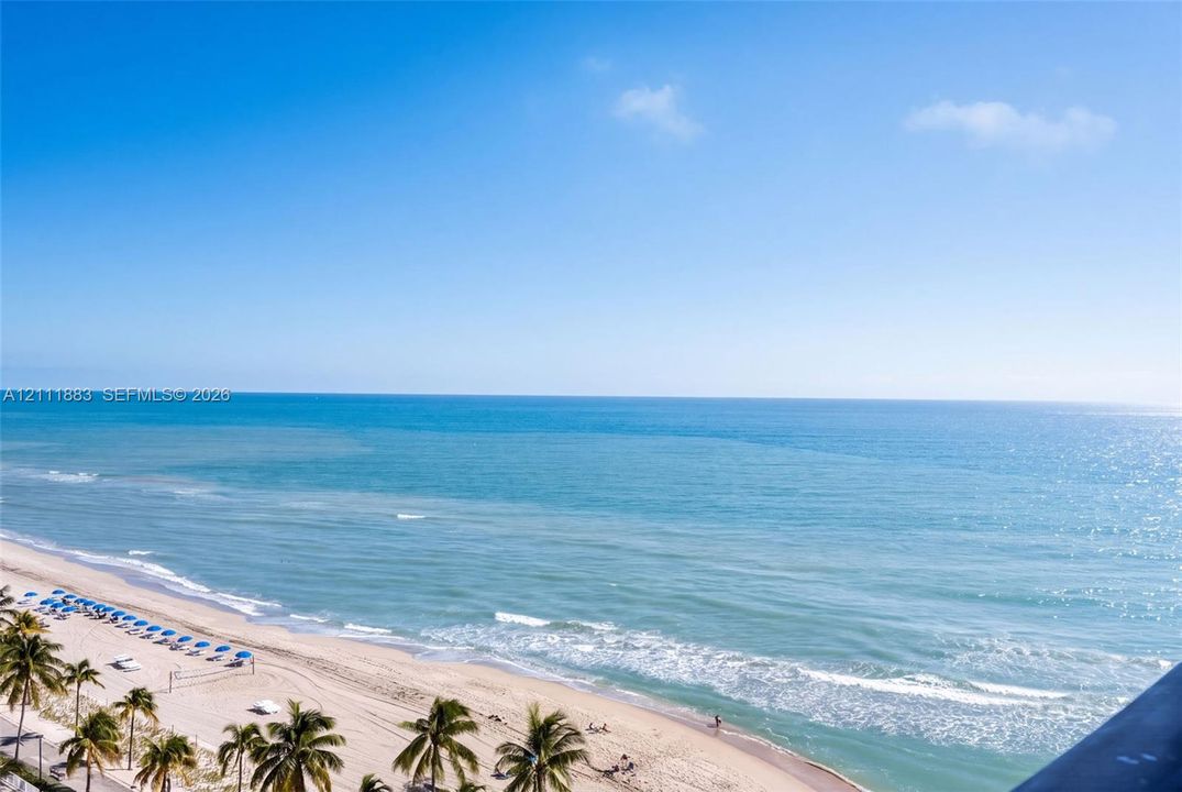 Elevated coastal perspective featuring a direct line of sight to the ocean, sandy beach, and mature palm trees