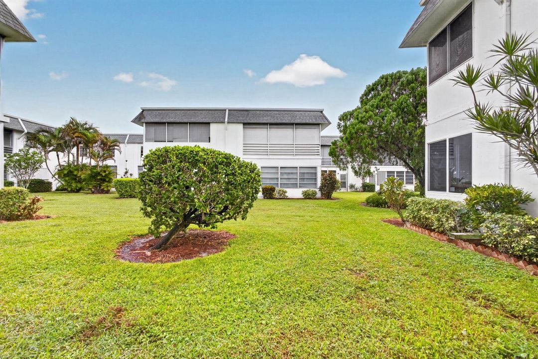 32-web-or-mls-5D1A1276