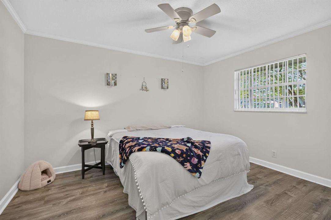30-web-or-mls-BS1A9759