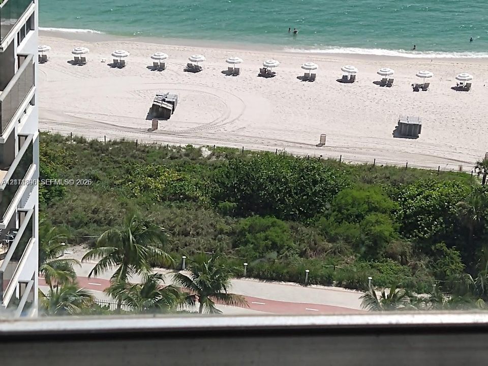 Elevated balcony featuring tiered glass railings, direct ocean exposure, and a paved pedestrian pathway with mature palm trees