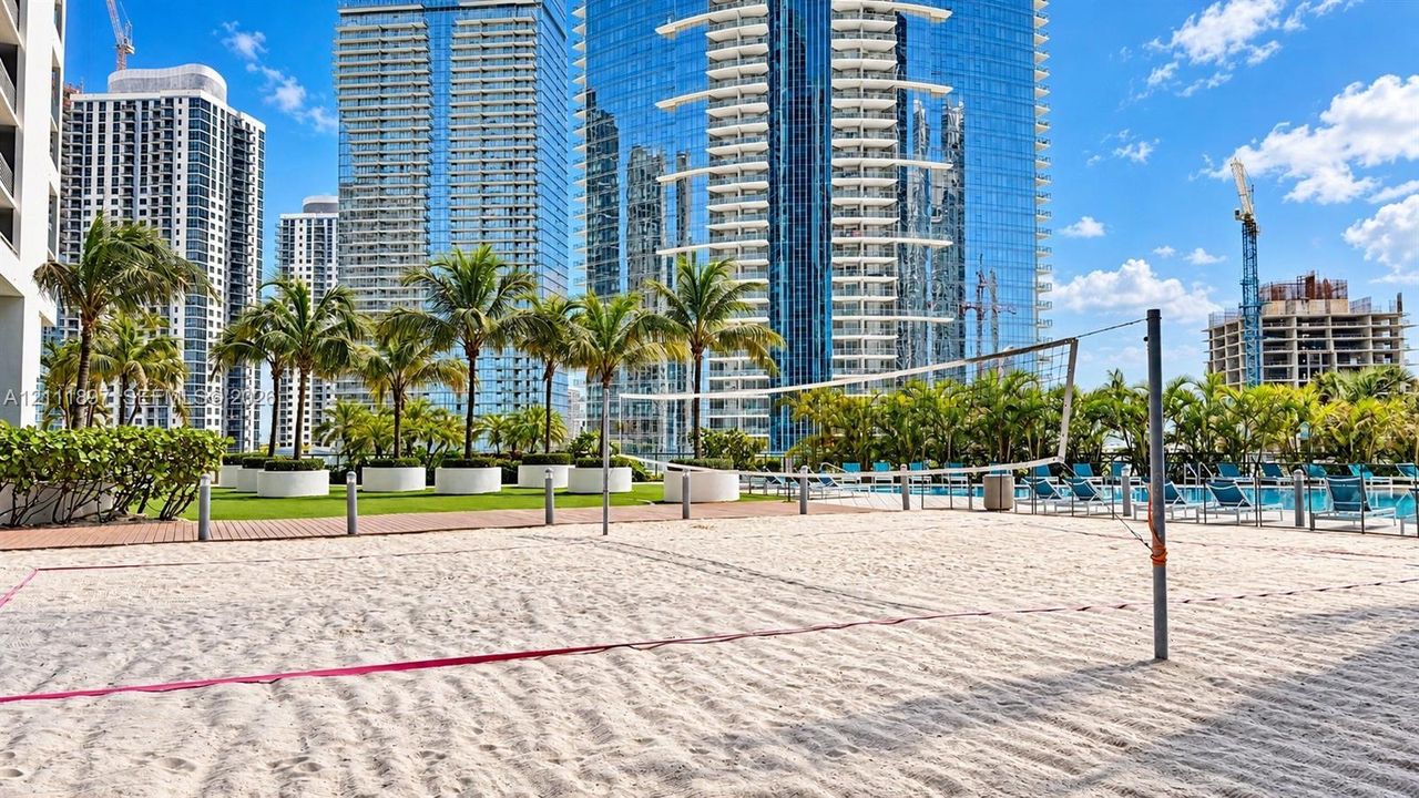 Sand volleyball court, manicured green space, mature palm trees, and an outdoor swimming pool