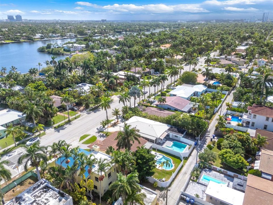 Aerial perspective of a coastal residential neighborhood featuring mature palm trees, dense canopy vegetation, and proximity to an inland waterway
