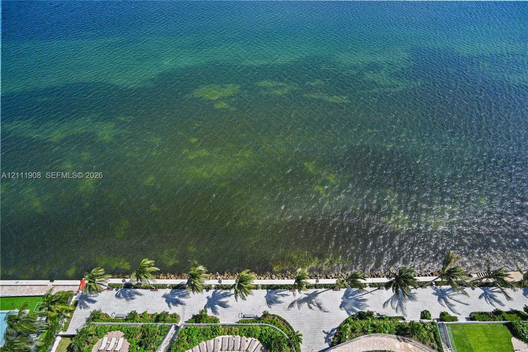 Direct waterfront access with a paved promenade, mature palm trees, manicured lawn, and stone-paver hardscaping