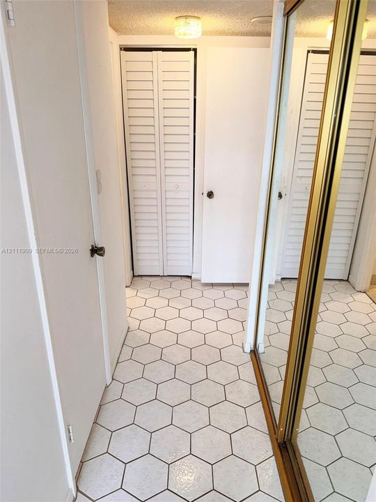Hexagon tile flooring, white louvered bifold doors, and sliding mirrored closet doors with gold-tone metal frames