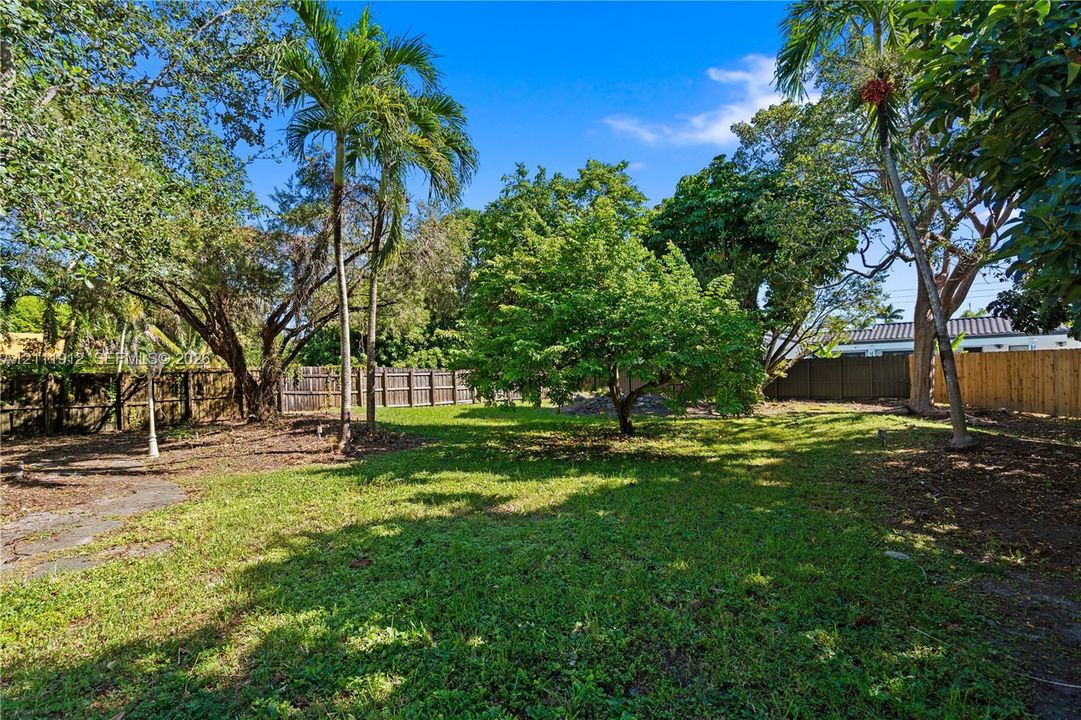 Expansive backyard featuring mature palm and hardwood trees, grass lawn, and perimeter wood fencing