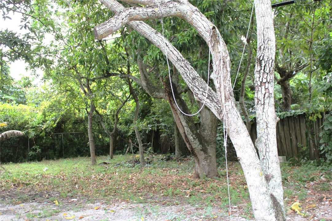 Backyard grounds featuring mature trees and perimeter wood fencing