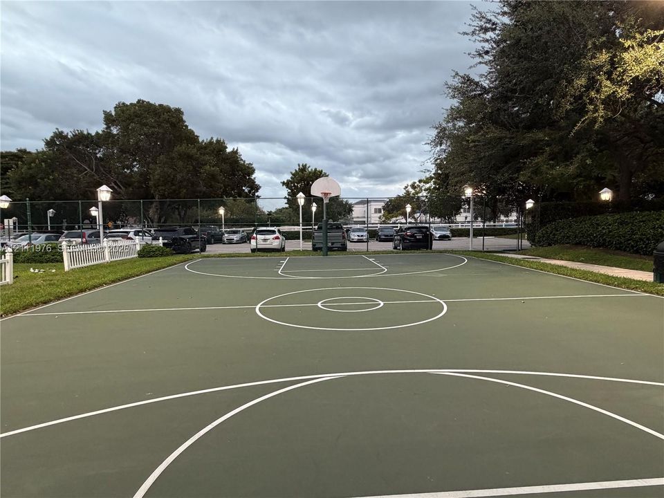 Outdoor basketball court featuring a painted surface, chain-link fencing, and pole-mounted lighting