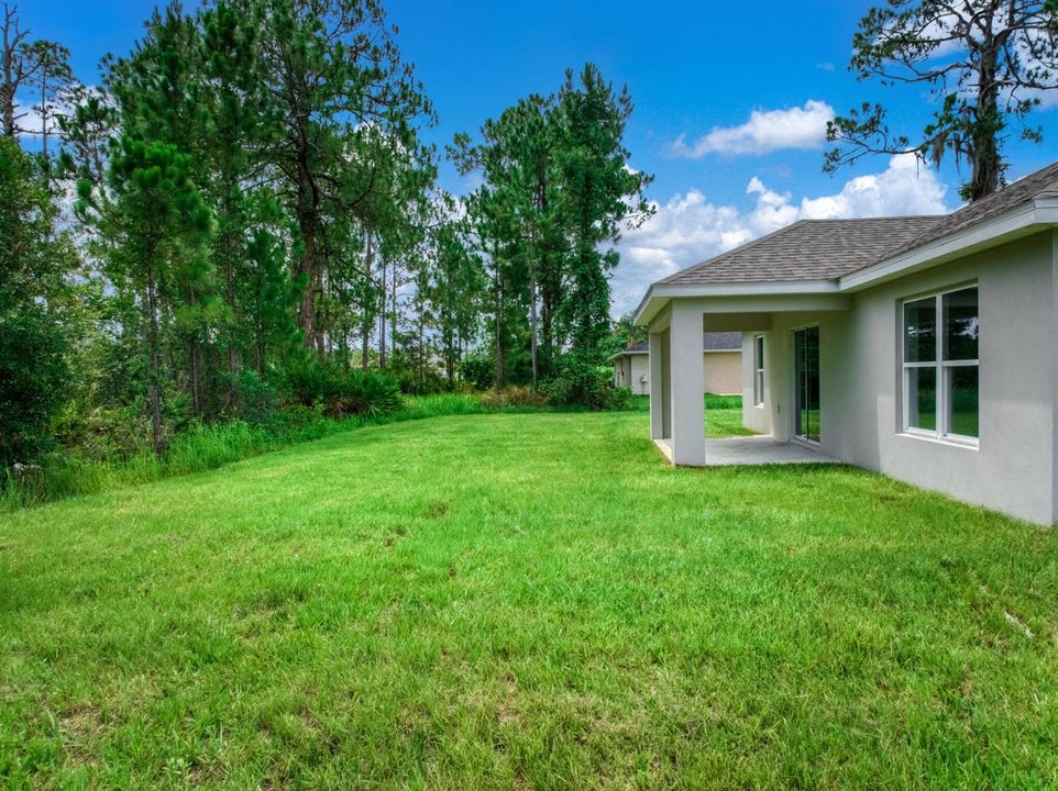 exterior - backyard 4