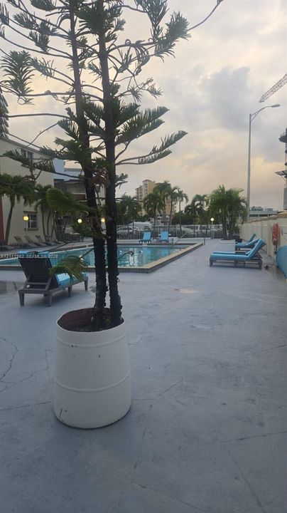 Outdoor swimming pool featuring a concrete deck and perimeter landscaping