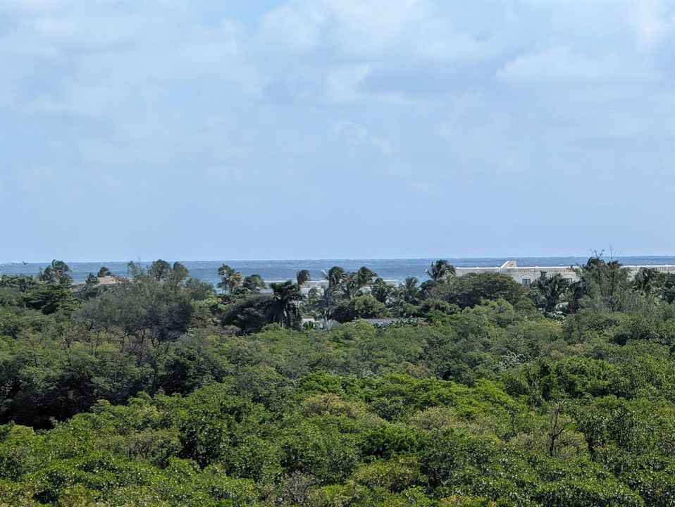 Peak of the Ocean