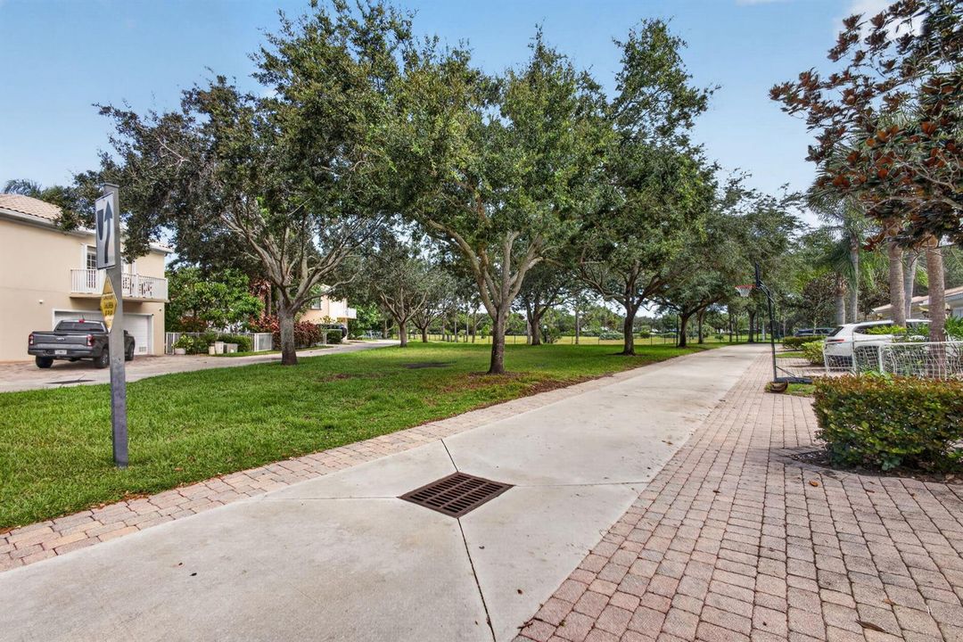 Rear Green Space & Preserve