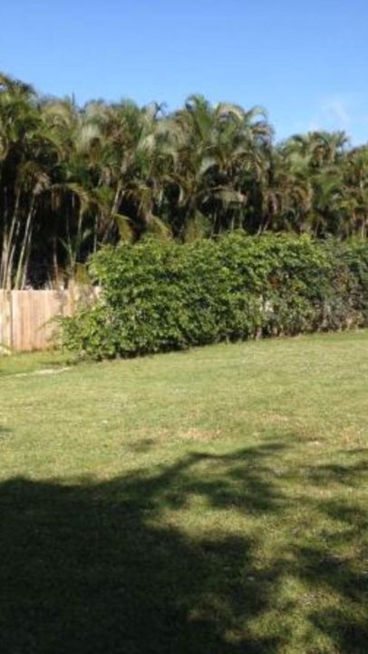 Yard