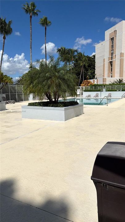 Swimming pool with concrete pool deck, raised concrete planter, and mature palm trees