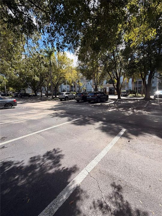 Asphalt parking area featuring designated spaces and mature canopy trees