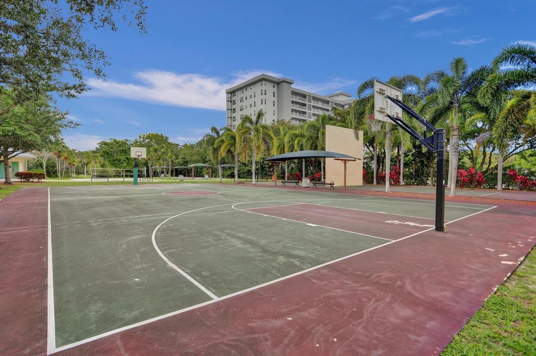 Basketball Court