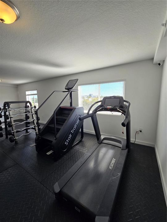 Fitness room featuring textured rubber flooring, neutral wall finishes, flush-mount ceiling lighting, and windows with horizontal blinds