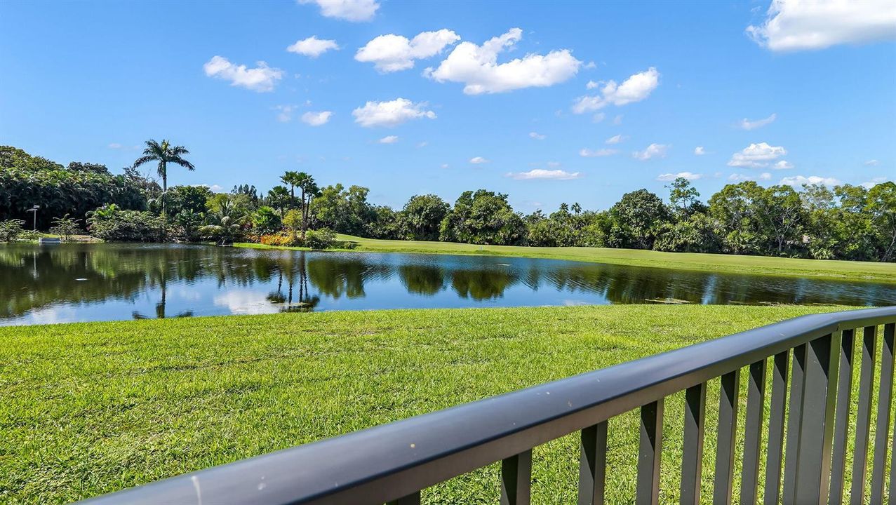 53-web-or-mls-DSC02697