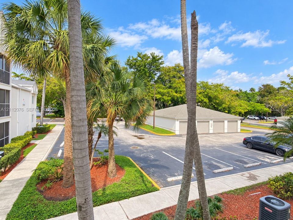 Paved parking area featuring a multi-bay detached garage structure, concrete walkways, and mature palm trees