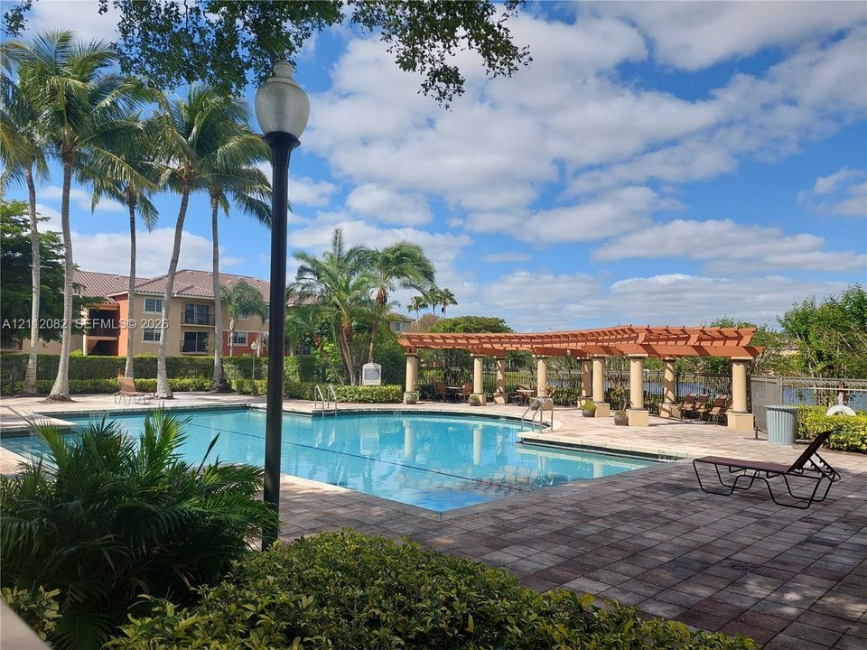 Swimming pool featuring stone paver decking, a decorative wooden pergola with columns, and mature palm landscaping