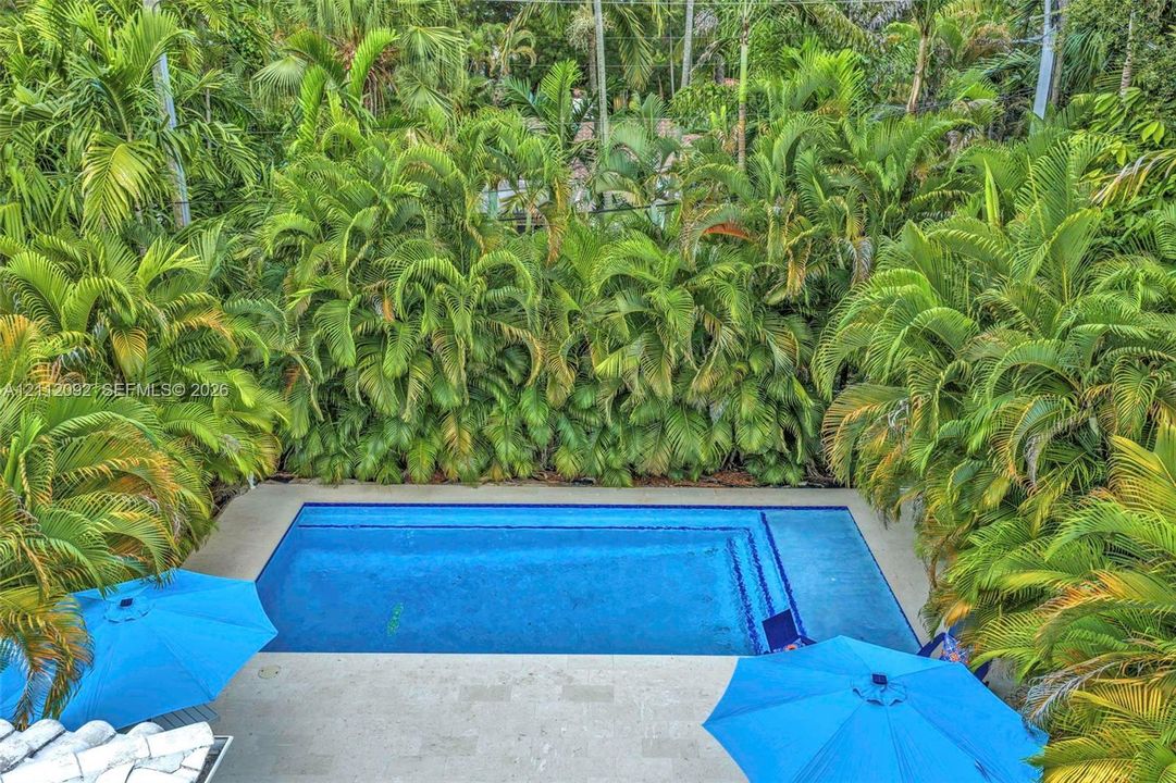 Rectangular in-ground swimming pool with integrated tiered entry steps and stone paver decking, surrounded by mature palm trees