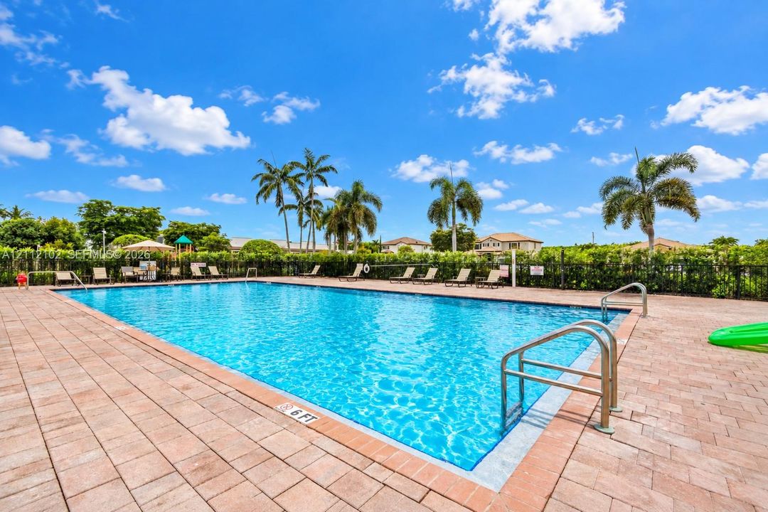 Rectangular swimming pool featuring brick paver decking, metal handrails, and a privacy hedge perimeter with mature palm trees