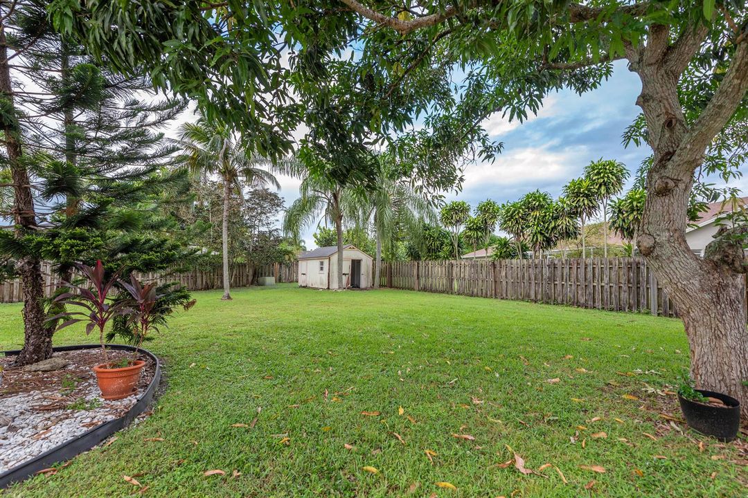 Backyard area