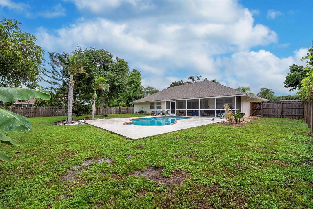 Pool/backyard