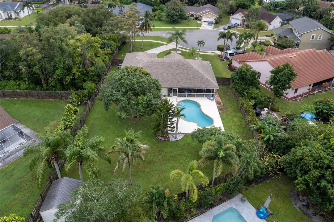 Drone view