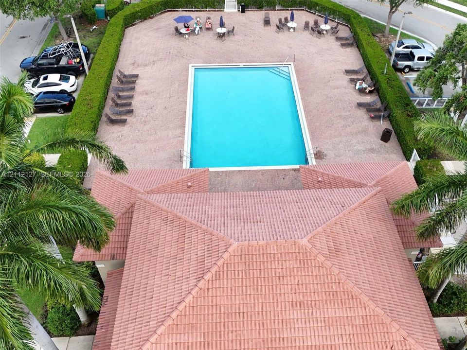 Rectangular swimming pool surrounded by a large paved terrace, enclosed by mature perimeter hedging and featuring a tile roof structure