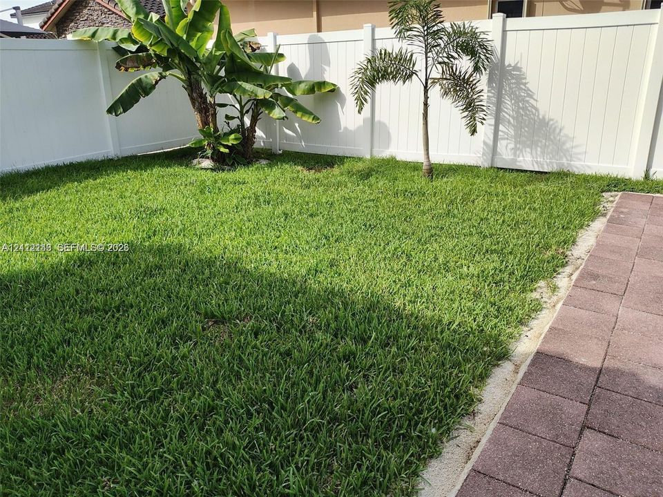 Private backyard featuring a grass lawn, perimeter white vinyl fencing, concrete paver patio, and mature tropical landscaping