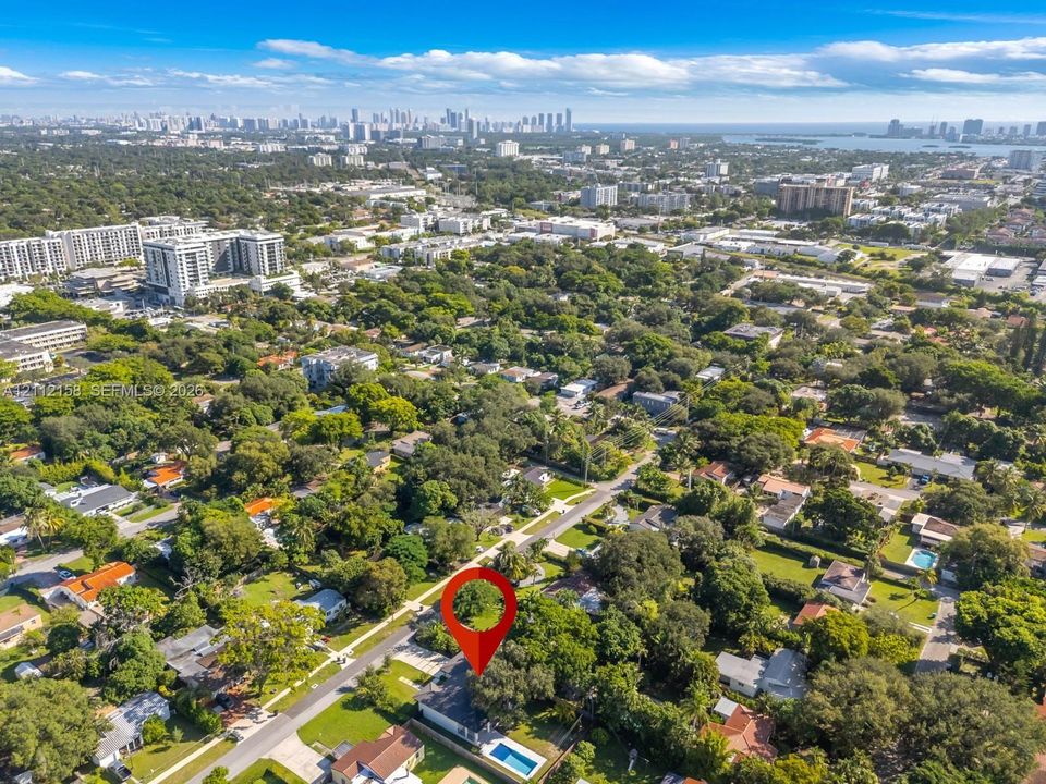 Aerial view of the private backyard pool and mature tree canopy