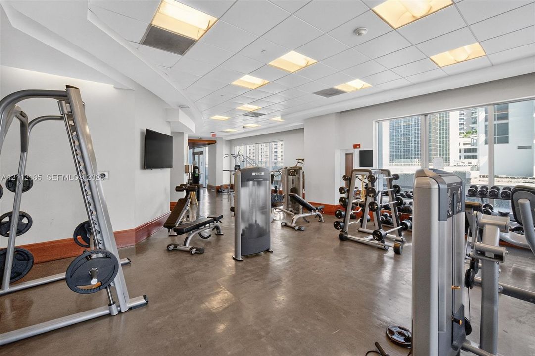Fitness facility featuring a polished concrete floor, drop ceiling with recessed lighting, large floor-to-ceiling windows, and wood-tone wall trim