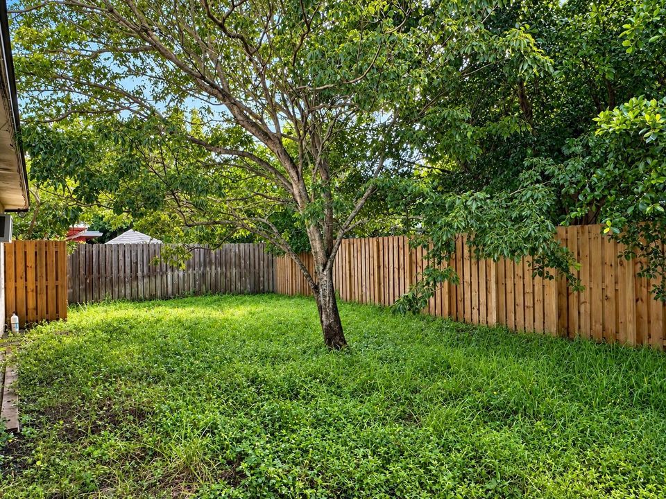 Backyard