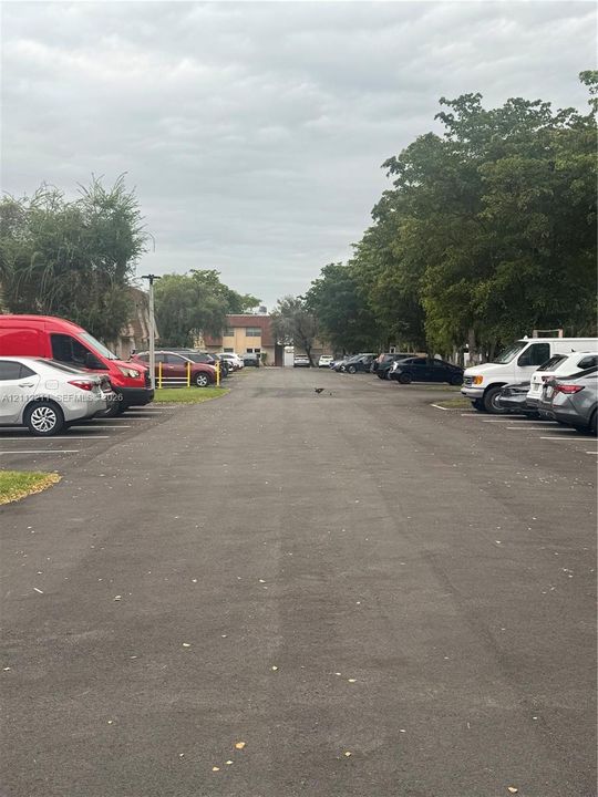 Asphalt surface parking lot featuring designated parking stalls and mature trees