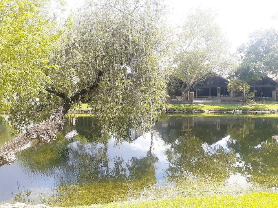 Waterfront lot featuring a natural pond, mature weeping willow tree, and manicured lawn
