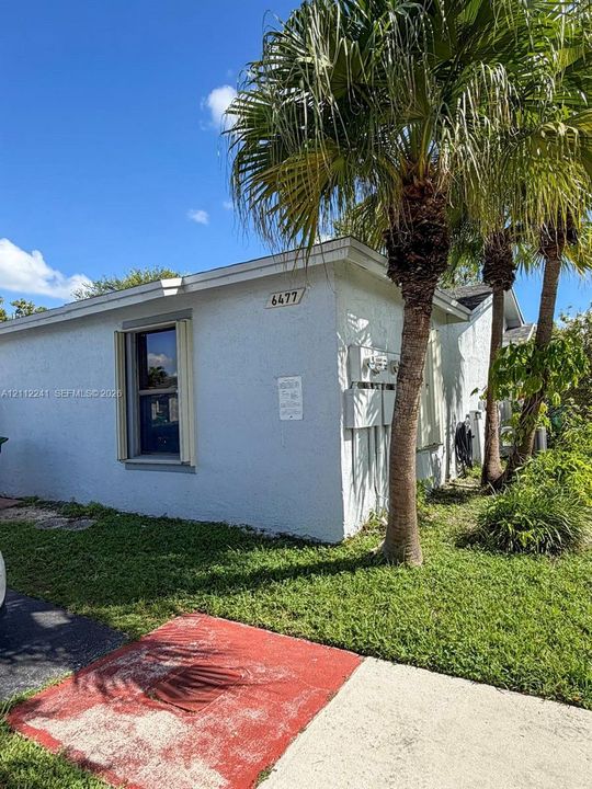 Stucco exterior featuring a single-pane window, concrete pathway, and mature palm trees