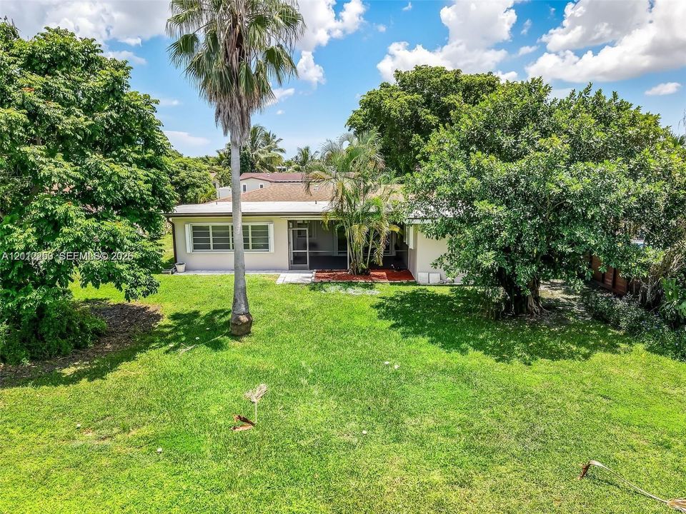 Expansive backyard featuring a lawn, mature trees, a palm tree, and a covered patio