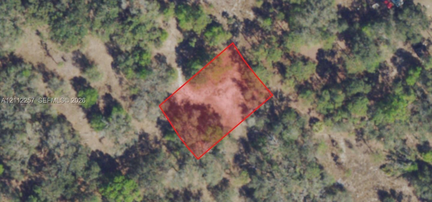 Close-up: subject lot STRAP 03-44-27-L2-00002.0560, 9,518 sq ft, irregular, wooded. Lee County Property Appraiser 2026 aerial; parcel lines approximate, not a survey.