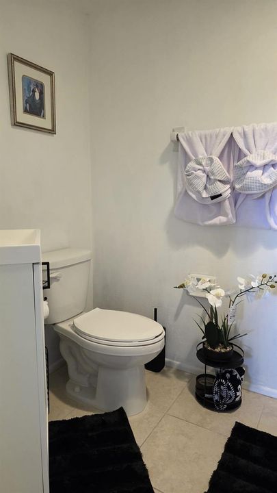Main bathroom 2